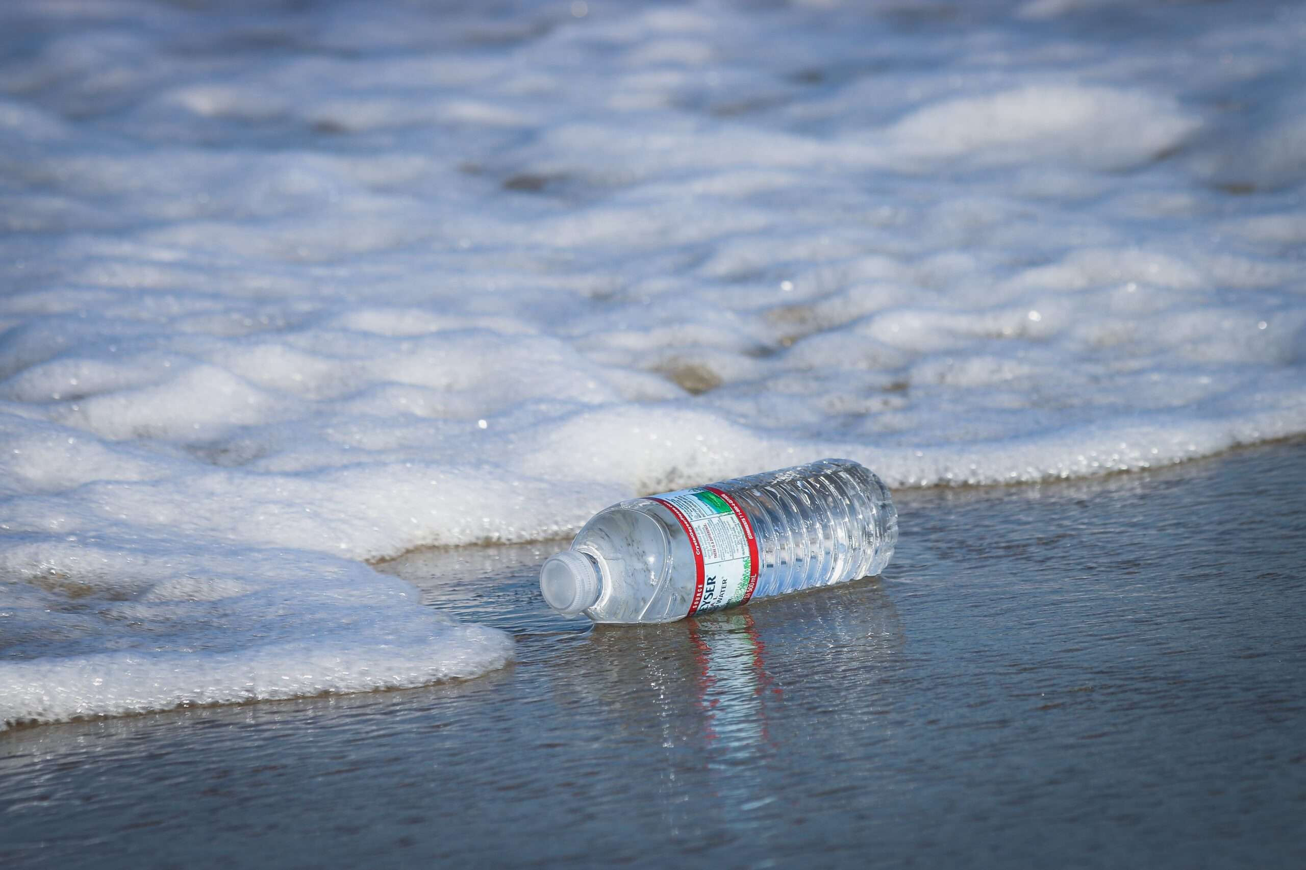 Read more about the article How Harmful Are Microplastics To Our Environment And Health?