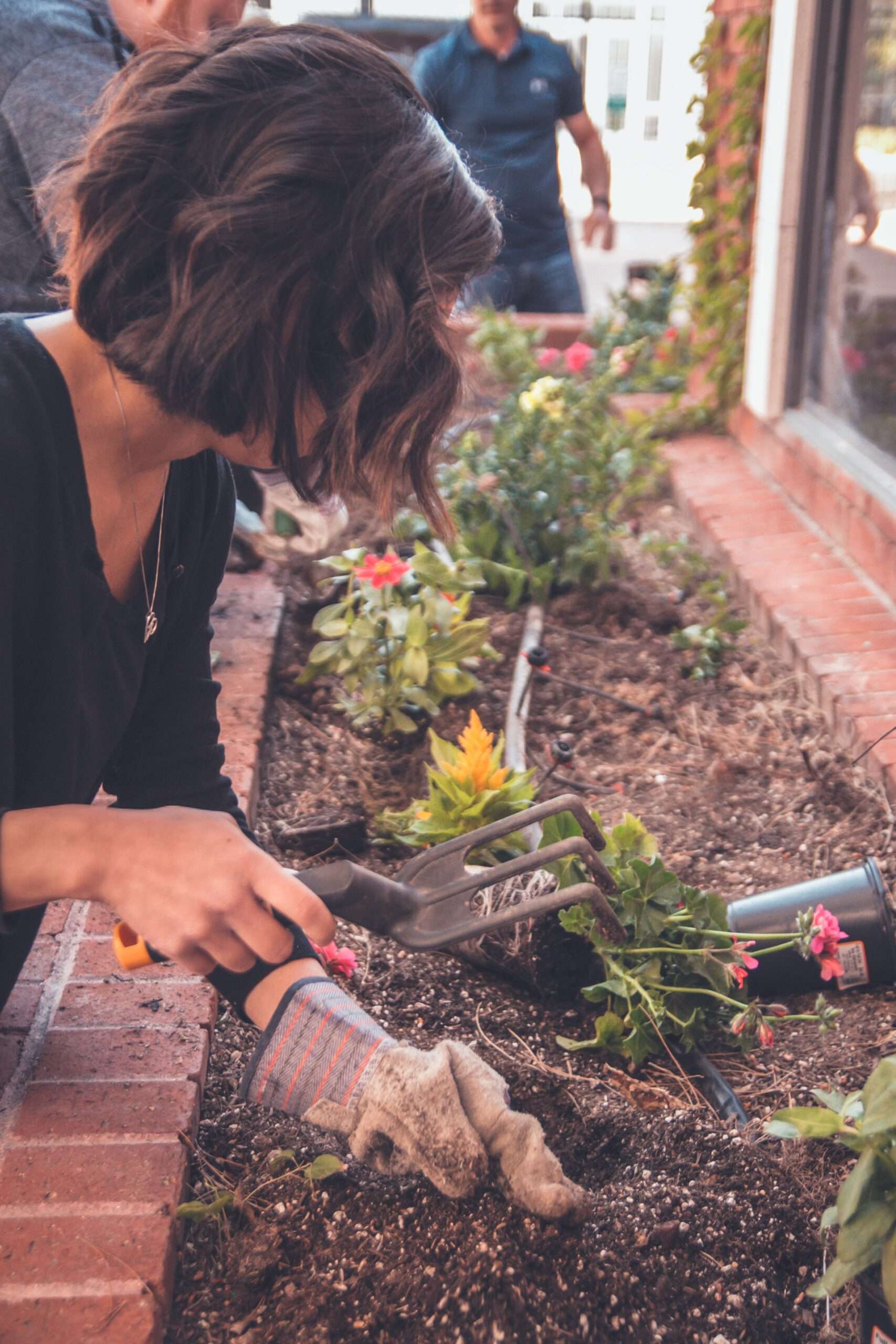 Read more about the article Climate Change & Regenerative Gardening